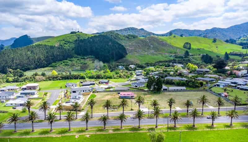 164 Parry Palm Avenue, Waihi