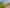 97 Gear Road, TE HORO