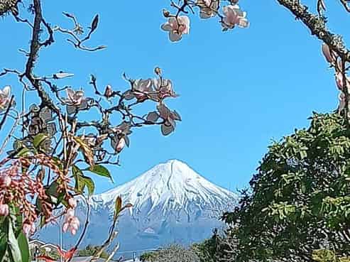 35 Seyton Street, Stratford