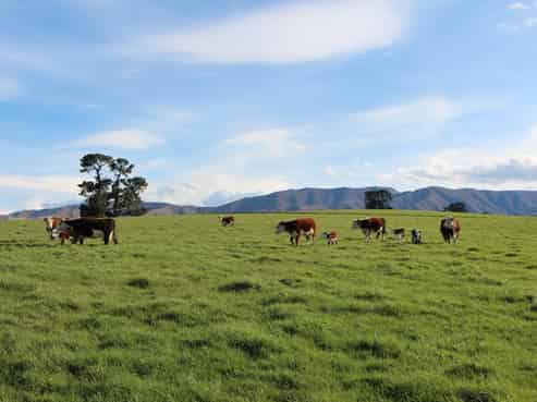 61 Howells Road, Maungati