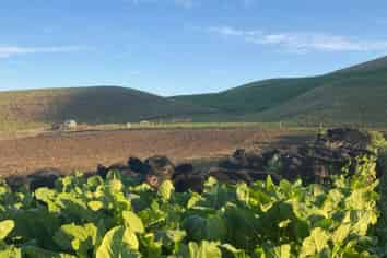 55 Rutherford Road, Albury