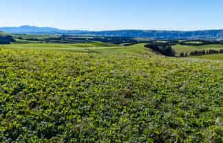 55 Rutherford Road, Albury