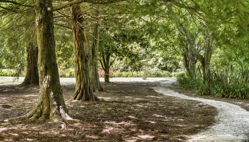 57 Armstrong Road, Te Puna