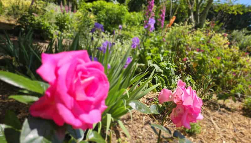 57 Armstrong Road, Te Puna