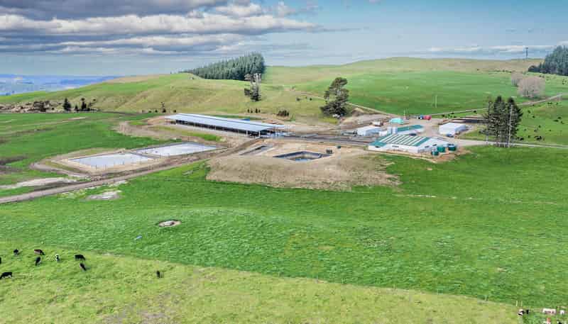 3986 Puketitiri Road, Patoka