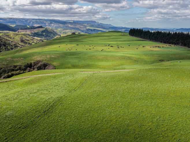 3986 Puketitiri Road, Patoka