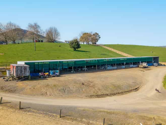 229 Candy Road, Te Awamutu