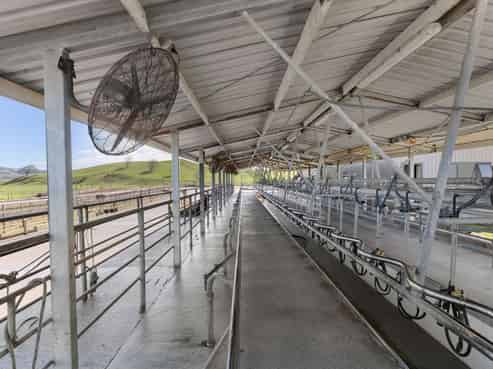 229 Candy Road, Te Awamutu