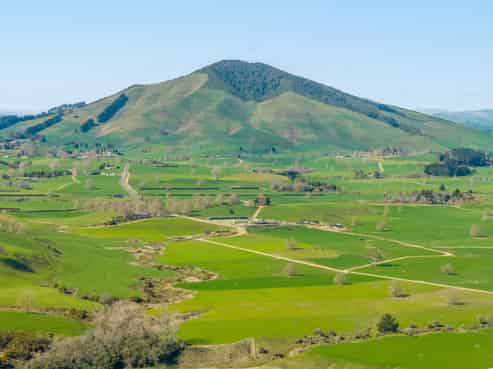 229 Candy Road, Te Awamutu