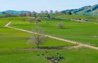 229 Candy Road, Te Awamutu