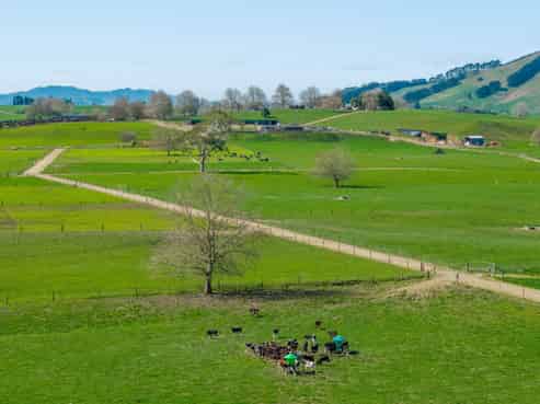 229 Candy Road, Te Awamutu