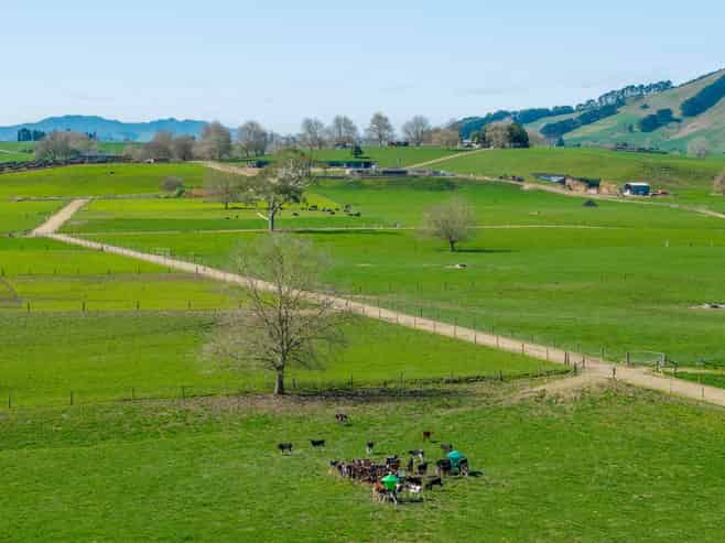 229 Candy Road, Te Awamutu