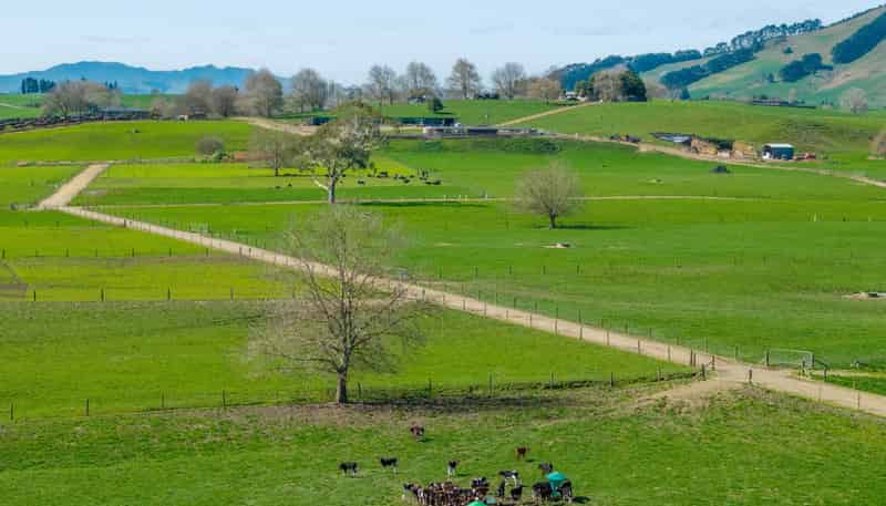 229 Candy Road, Te Awamutu