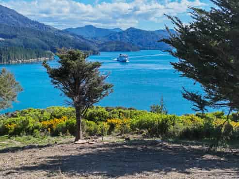  Te Rua Bay, Queen Charlotte Sound