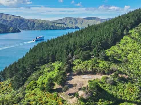  Te Rua Bay, Queen Charlotte Sound