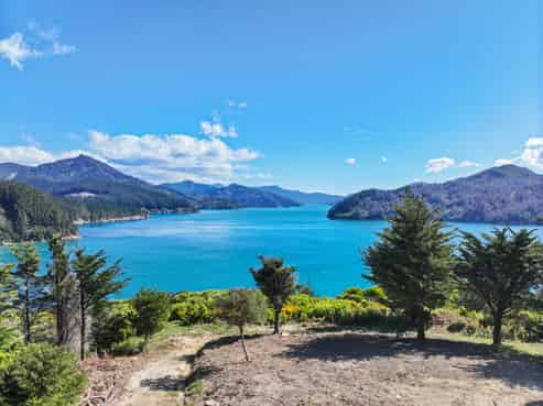  Te Rua Bay, Queen Charlotte Sound