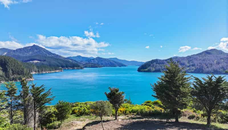  Te Rua Bay, Queen Charlotte Sound