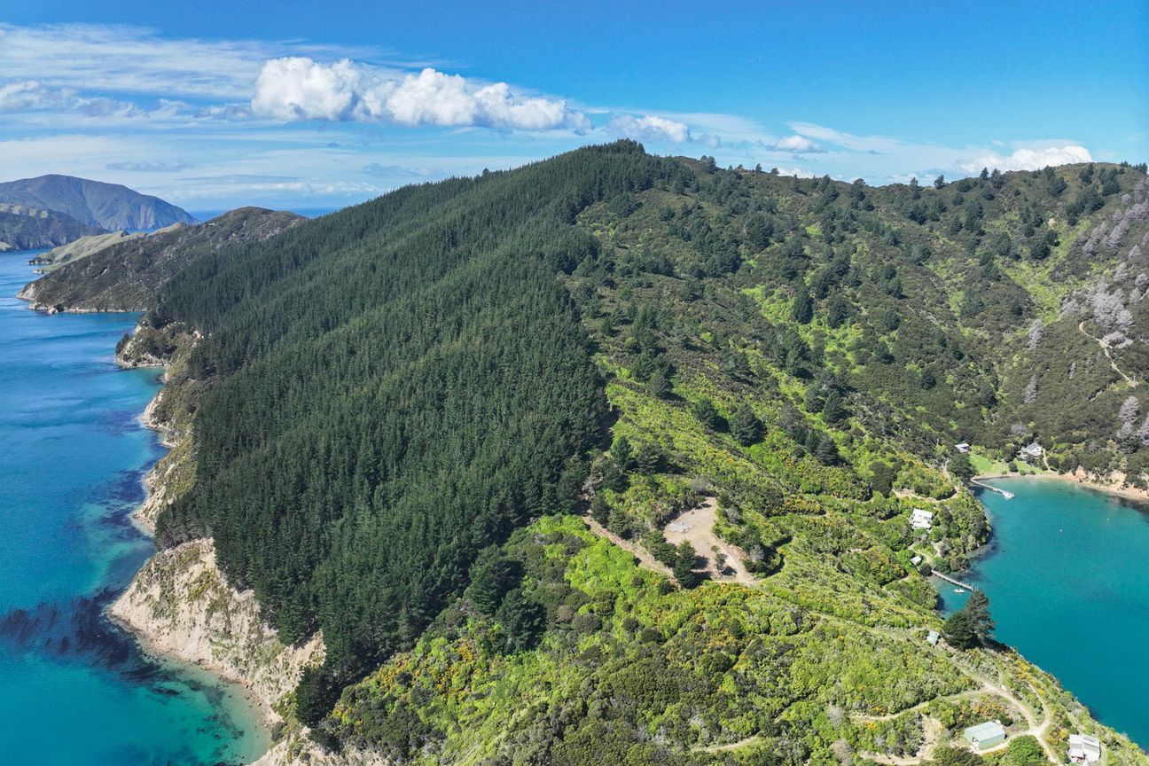 Elevated Building Site With Spectacular Views - More