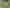 2164 Te Mai Road, Tinui Valley