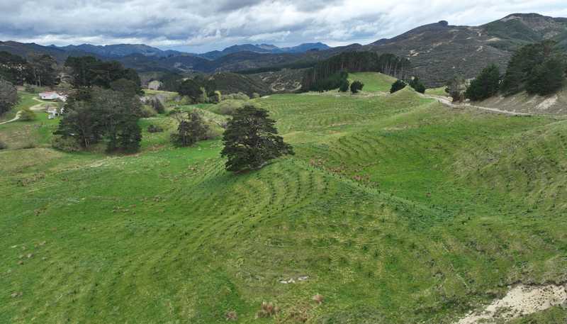 2164 Te Mai Road, Tinui Valley