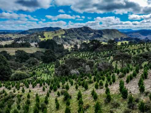 2164 Te Mai Road, Tinui Valley