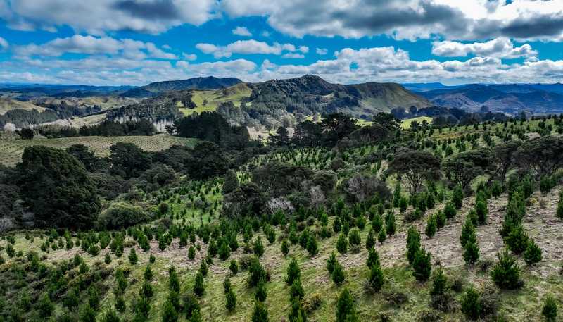 2164 Te Mai Road, Tinui Valley