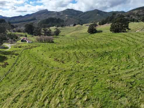 2164 Te Mai Road, Tinui Valley