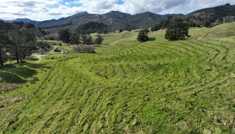 2164 Te Mai Road, Tinui Valley