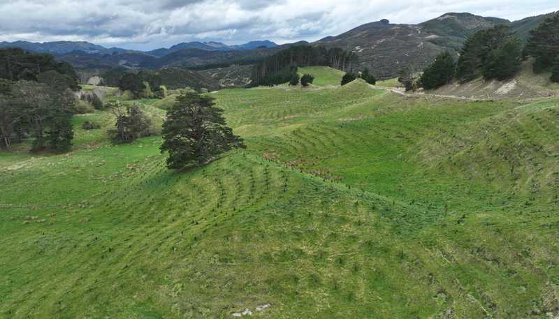 2164 Te Mai Road, Tinui Valley
