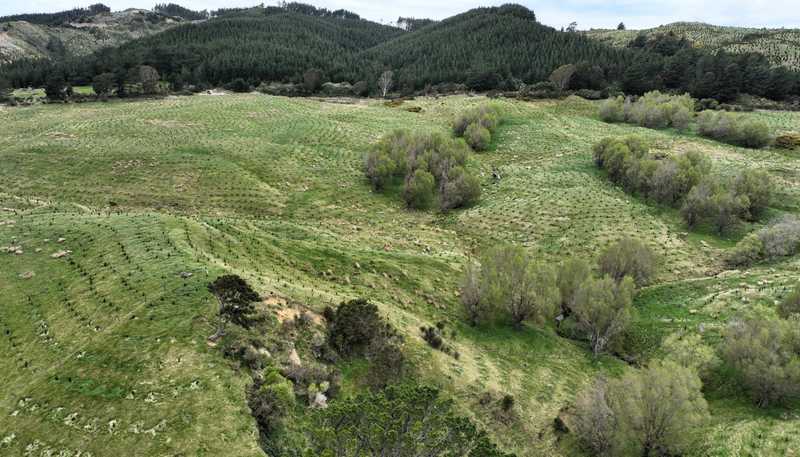2164 Te Mai Road, Tinui Valley