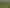 2164 Te Mai Road, Tinui Valley