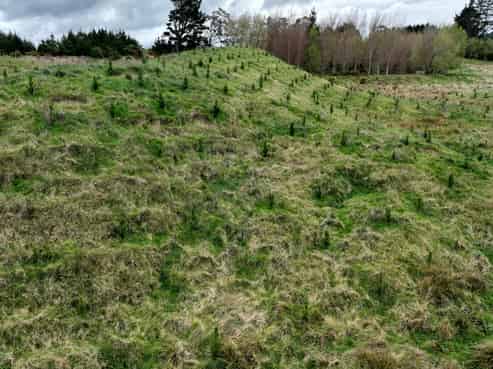 2164 Te Mai Road, Tinui Valley