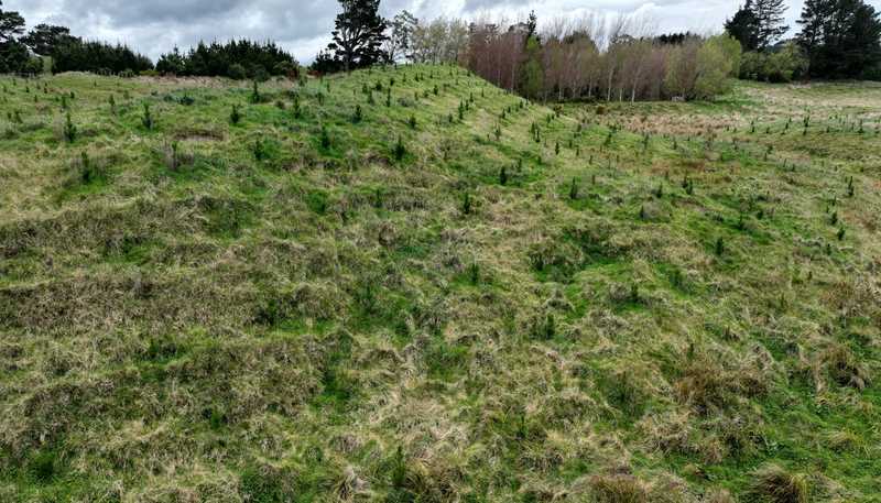 2164 Te Mai Road, Tinui Valley