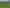 2164 Te Mai Road, Tinui Valley