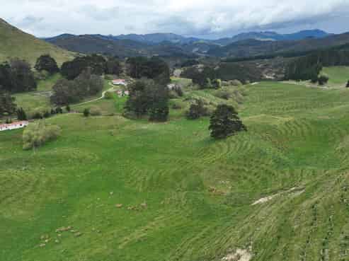 2164 Te Mai Road, Tinui Valley