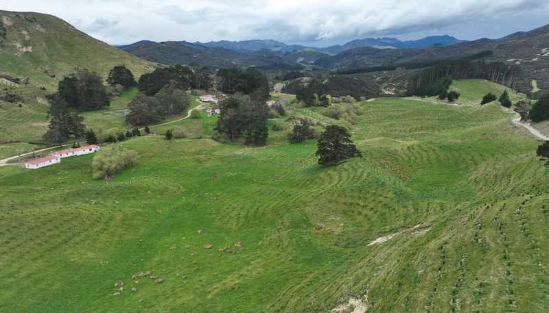 2164 Te Mai Road, Tinui Valley