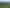 2164 Te Mai Road, Tinui Valley