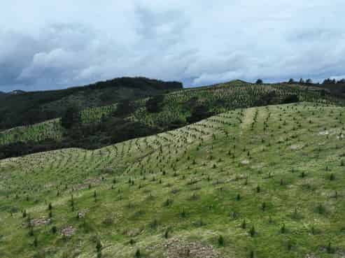 2164 Te Mai Road, Tinui Valley