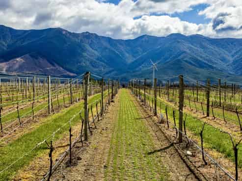 4816 State Highway 63, Wairau Valley