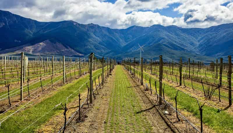 4816 State Highway 63, Wairau Valley