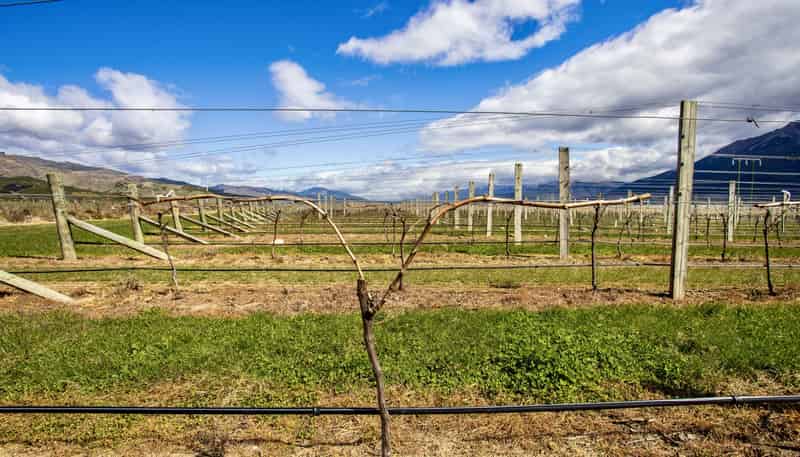 4816 State Highway 63, Wairau Valley