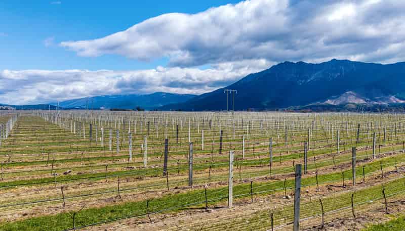 4816 State Highway 63, Wairau Valley
