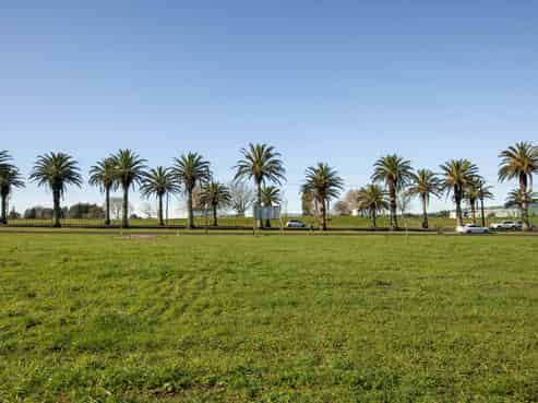 Lot 2, 156 Parry Palm Avenue, Waihi