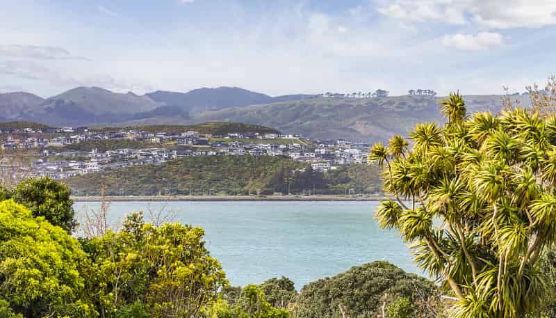 43 Waiuta Street, Titahi Bay
