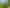 151 Everglade Drive, Totara Heights