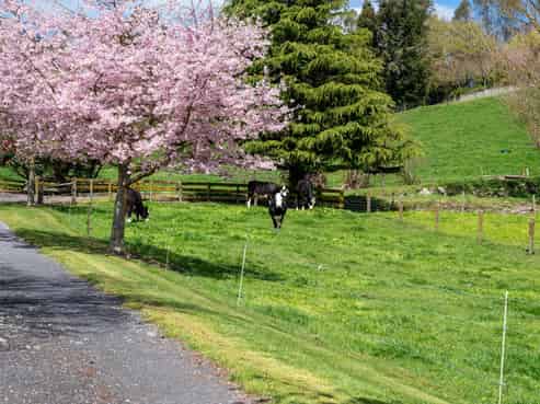 1211 Waikite Valley Road, Waikite Valley