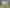 1211 Waikite Valley Road, Waikite Valley