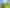 1211 Waikite Valley Road, Waikite Valley