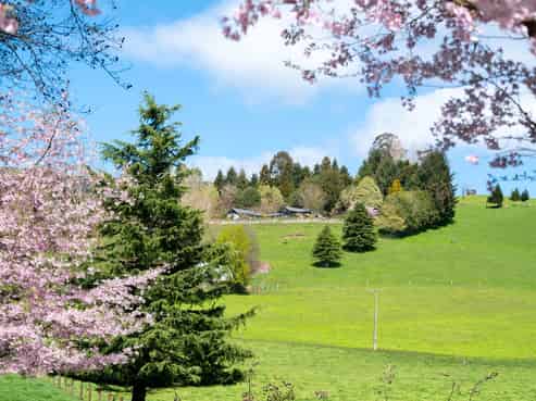 1211 Waikite Valley Road, Waikite Valley