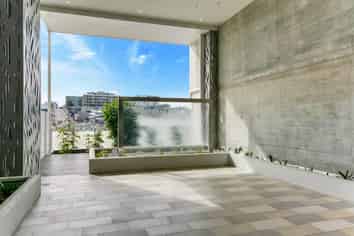 102/27 Enfield Street, Mount Eden